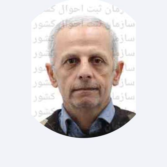 مهندس محمد مهدی نجفی نژاد